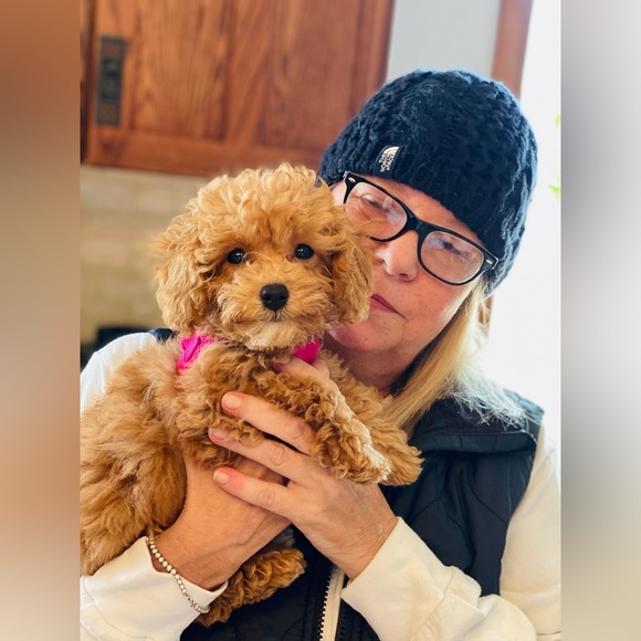 Meet your Posher, Michelle - Picture 2 of 4